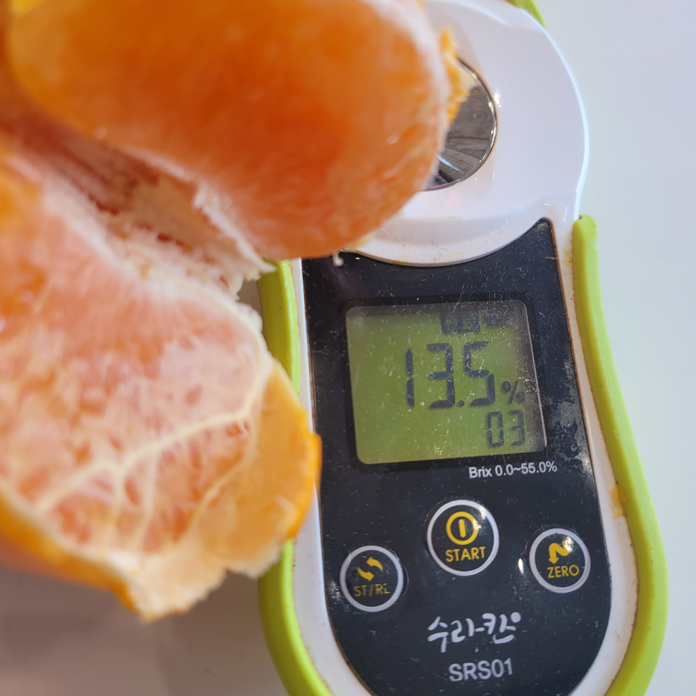 [당근의고백] 청정제주 고당도 하우스 햇 감귤 산지직송 대과 2,3,5,10kg