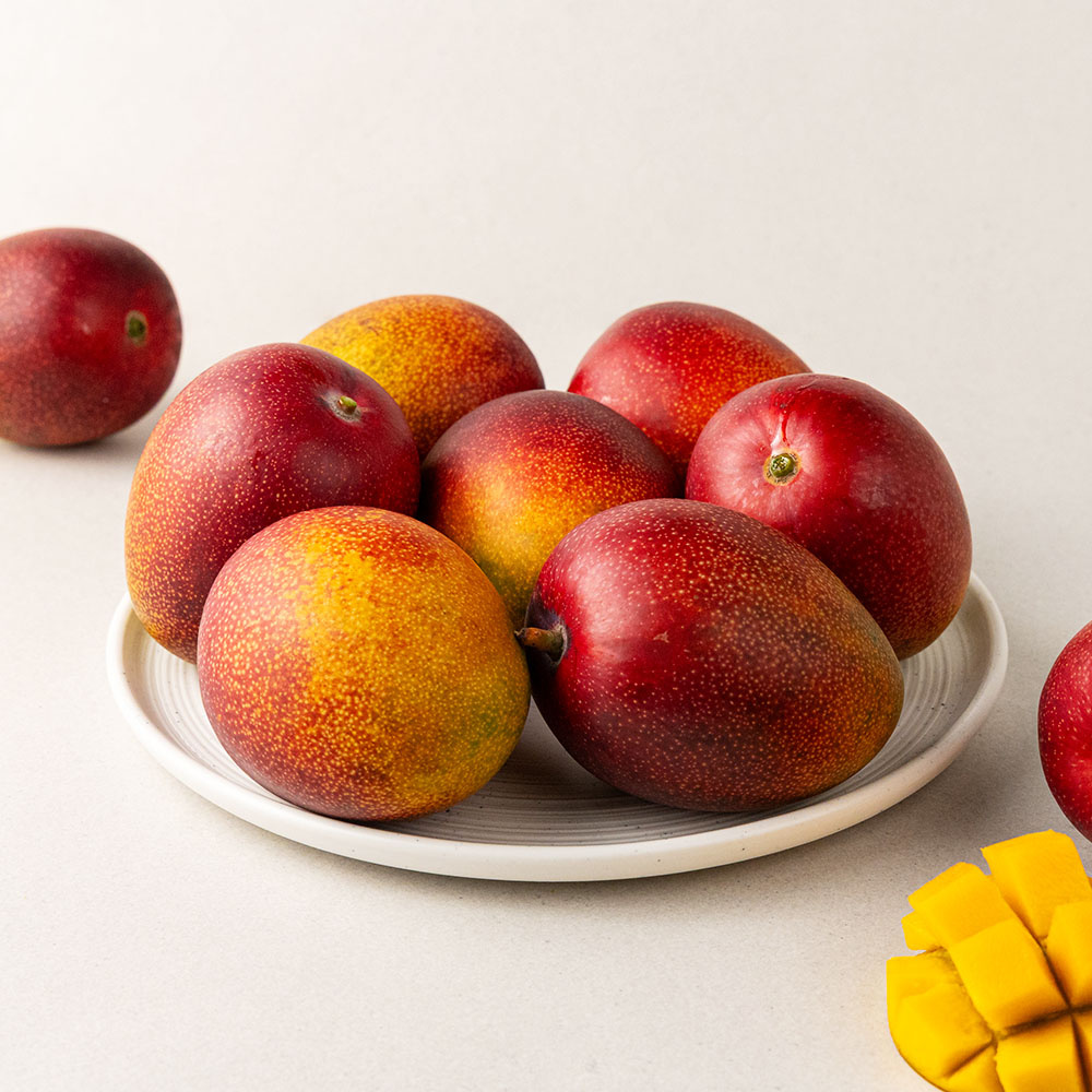 [당근의고백] 제주 프리미엄 고당도 애플망고 산지직송, 특대과1kg, 2kg, 3kg
