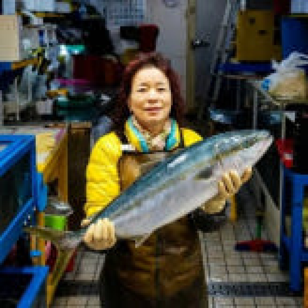 [동문시장관] 제주도 자연산 돌문어 1kg 손질 문어 숙회 소포장 급냉 태양수산 [원산지:국산(제주특별자치도 제주시)] 준비중