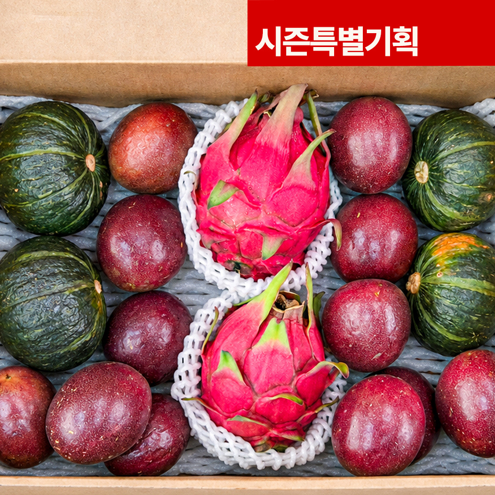[꾸러미] 제주人 준 섬머 기프트백 레드용과 1kg + 백향과 1kg + 미니단호박 1kg 선물세트 시즌기획