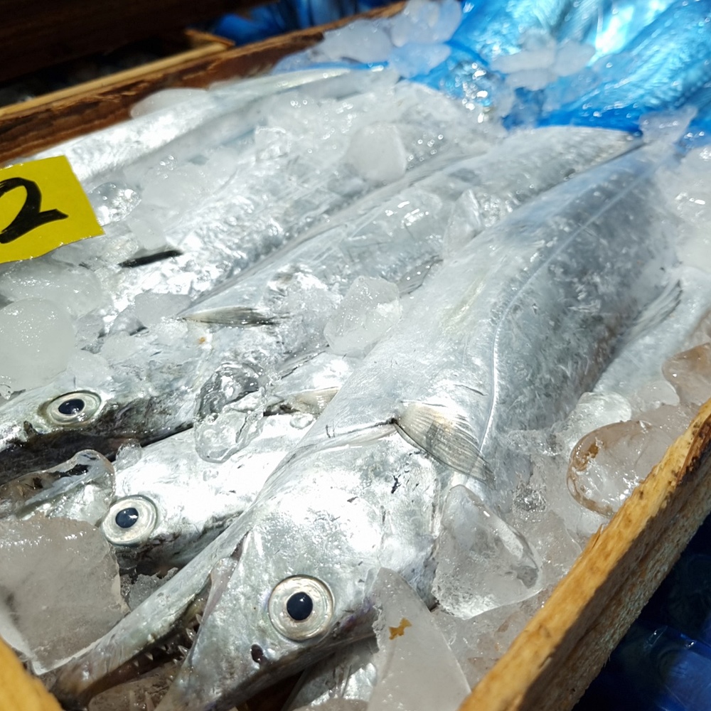 손질된 프리미엄 제주 은갈치 4마리 1.2kg 이상