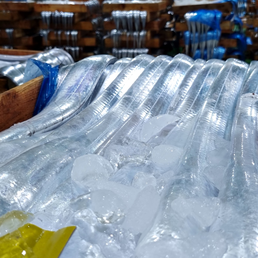 손질된 프리미엄 제주 은갈치 4마리 1.2kg 이상