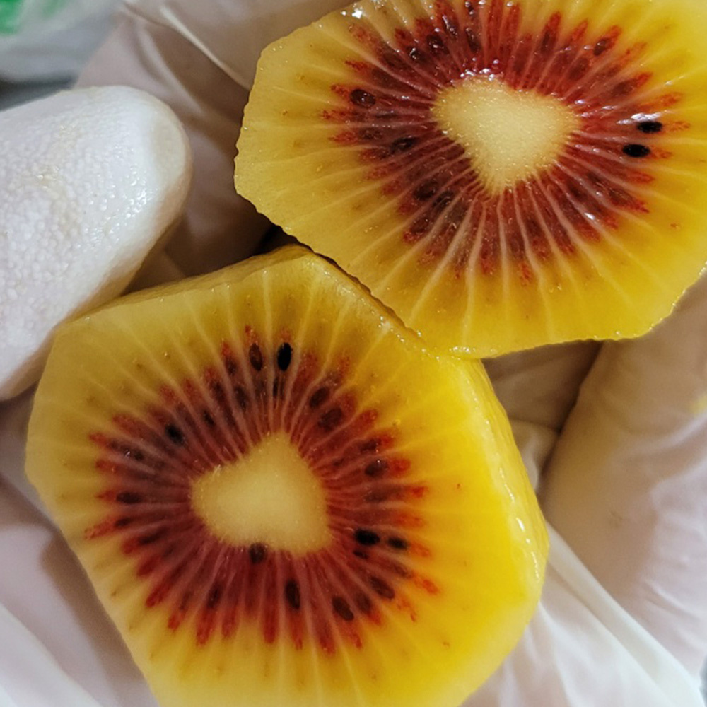 제주 레드키위 달콤한 고당도 키위 산지직송 제철과일 5kg 3kg