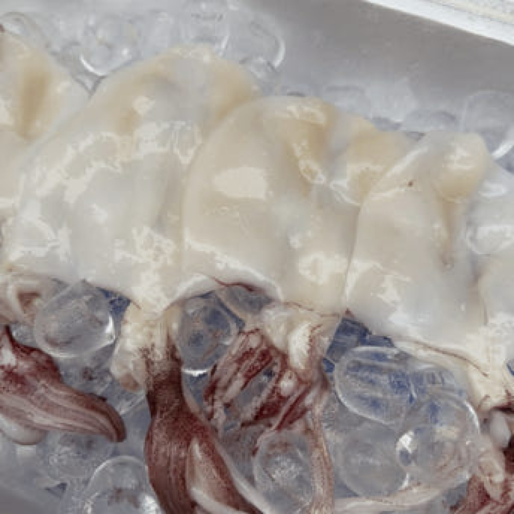 푸르디 제주 손질 한치 1kg