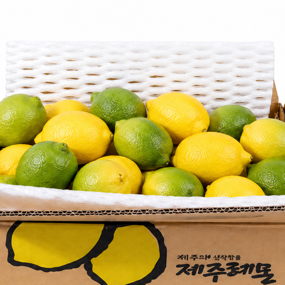 봄과 하늘이네 밭 제주 레몬 3kg 5kg 산지 농장 직송 청레몬 노란레몬