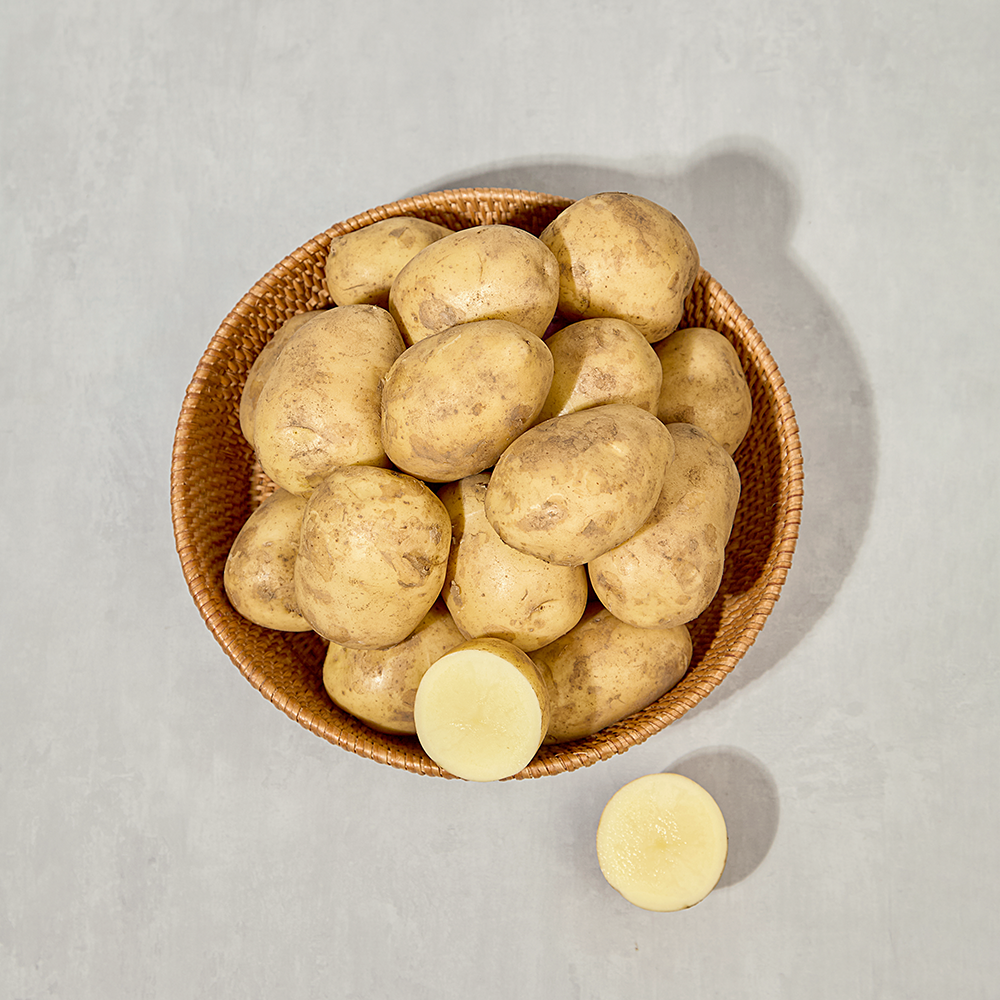 [오가닉]제주도 포슬포슬 제주 햇감자 1kg