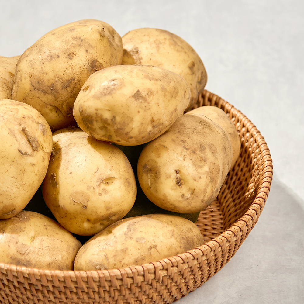 [오가닉]제주도 포슬포슬 제주 햇감자 1kg