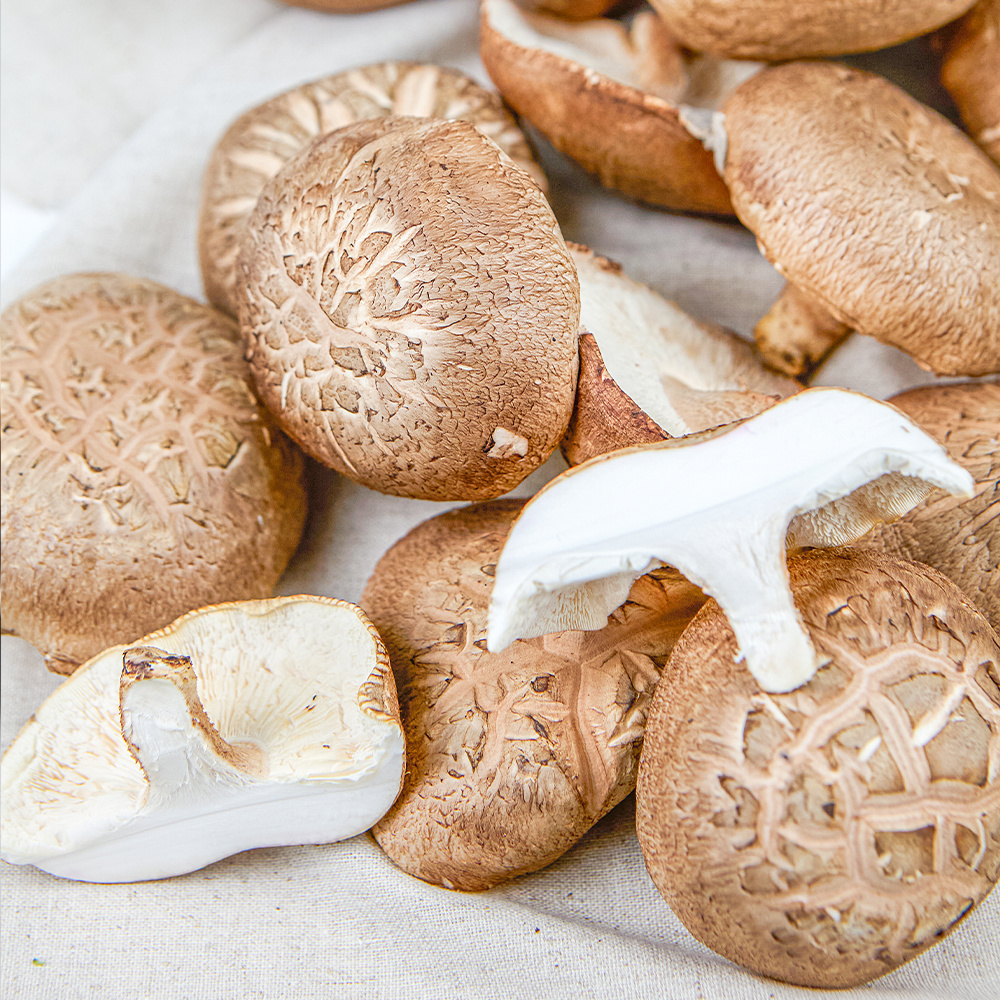 [오가닉]향긋한 제주 생 표고버섯 1kg