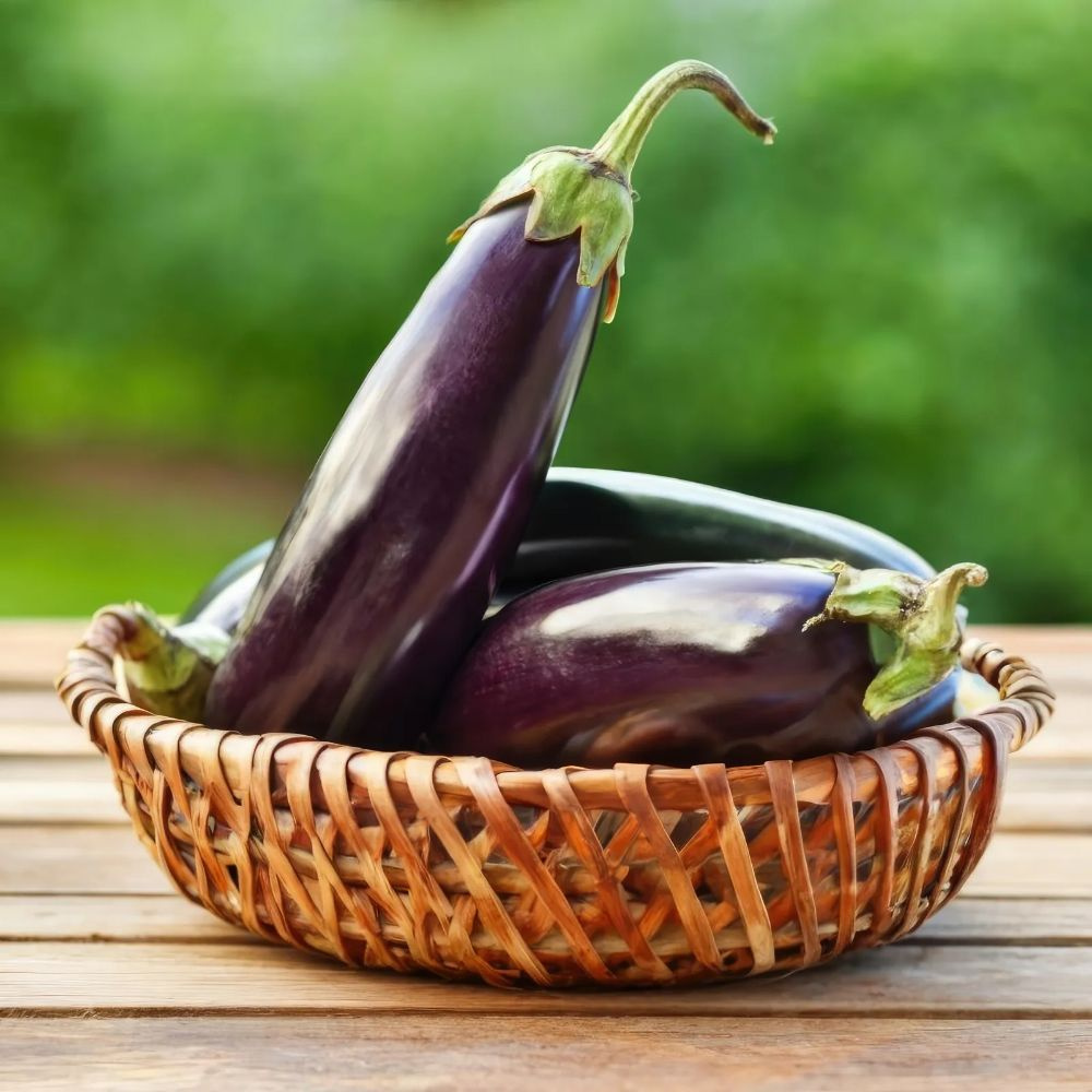 [오가닉]단단한 제주 가지 1개입