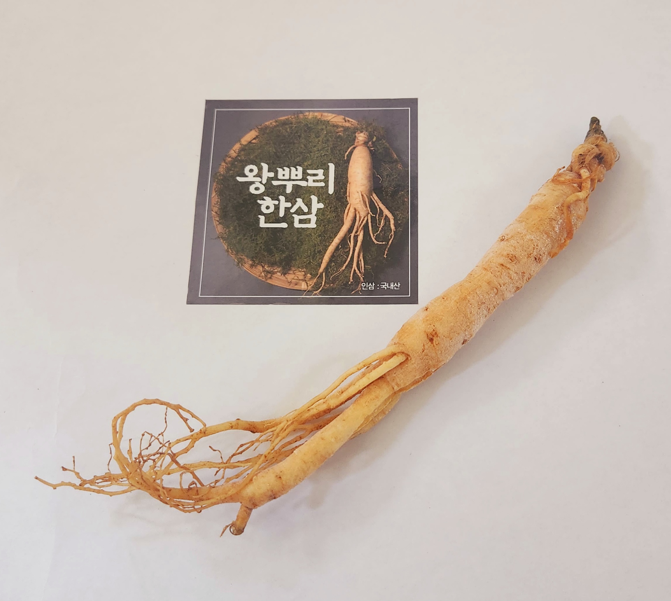 [명품본가] 하림&올품 제주표고향 왕뿌리삼계탕 [650g x 2마리입]