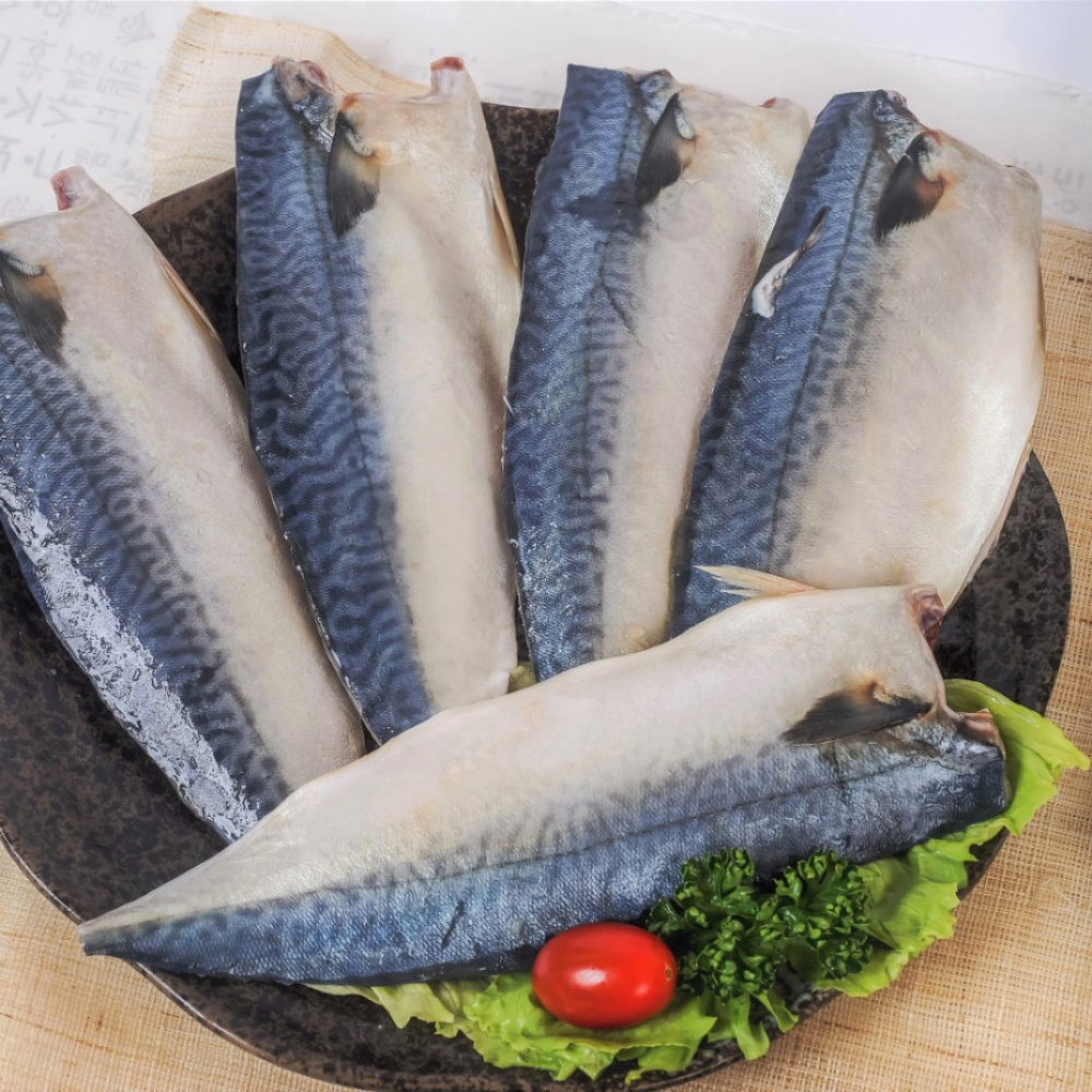 제주 추동고등어