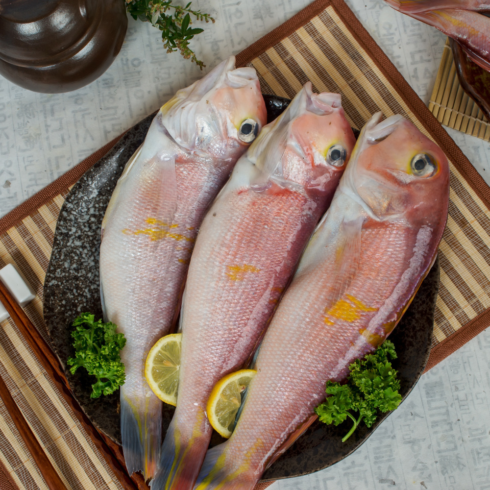 바다의 귀족! 옥돔