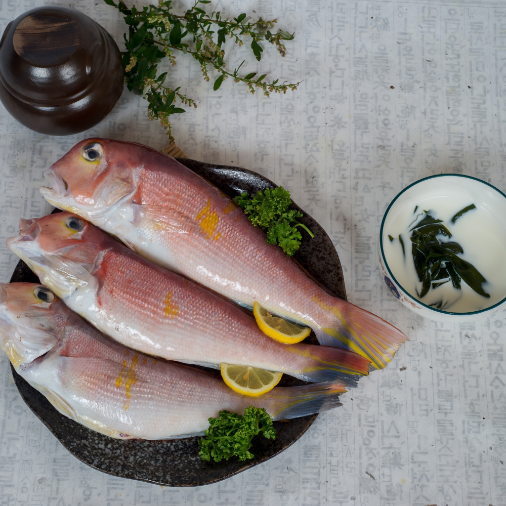 바다의 귀족! 옥돔