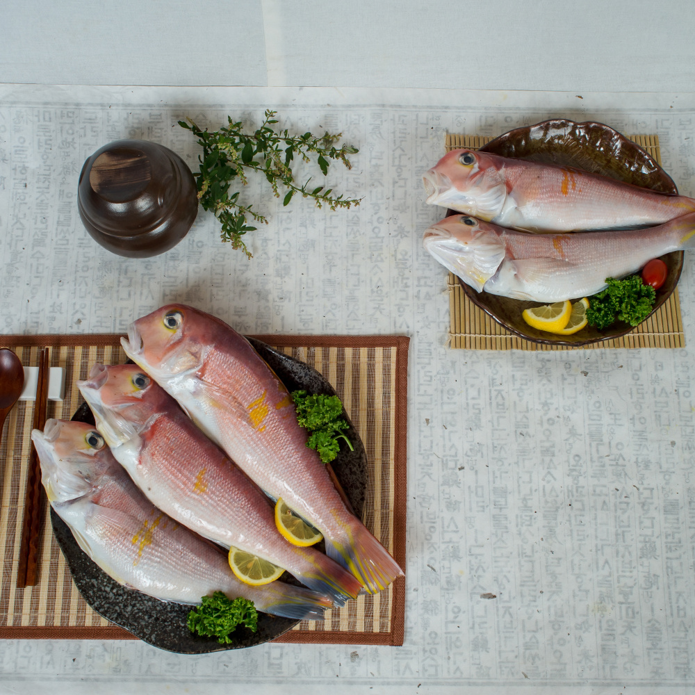 바다의 귀족! 옥돔