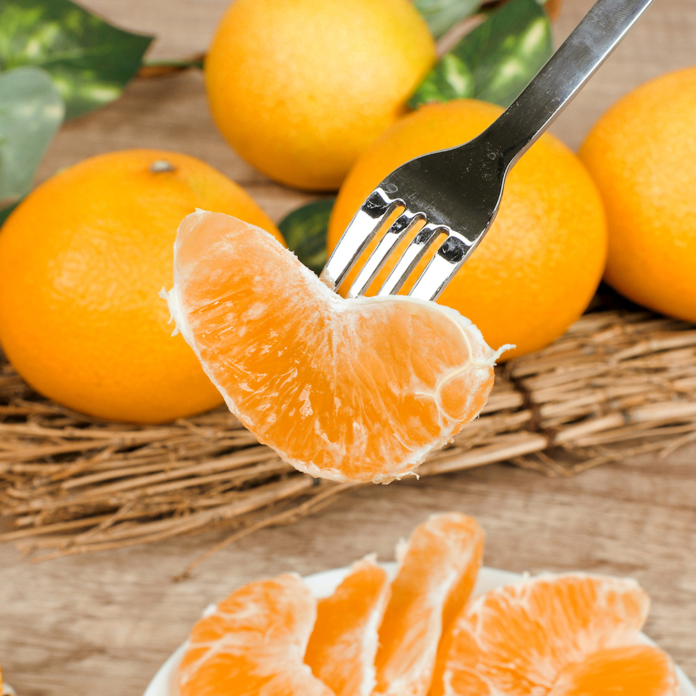 특가할인 초고당도Brix 제주 황금향 3kg,5kg,10kg