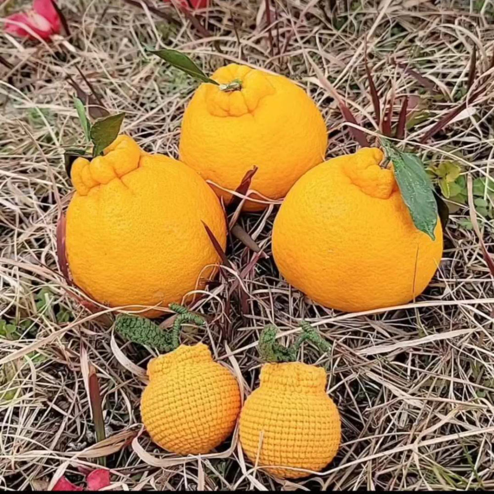 한라봉 뜨개키링