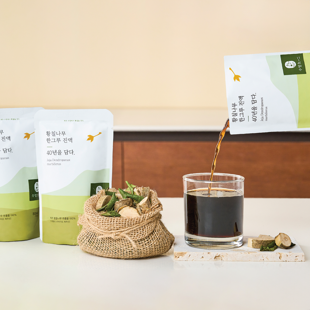 40년 제주황칠나무 한그루 진액