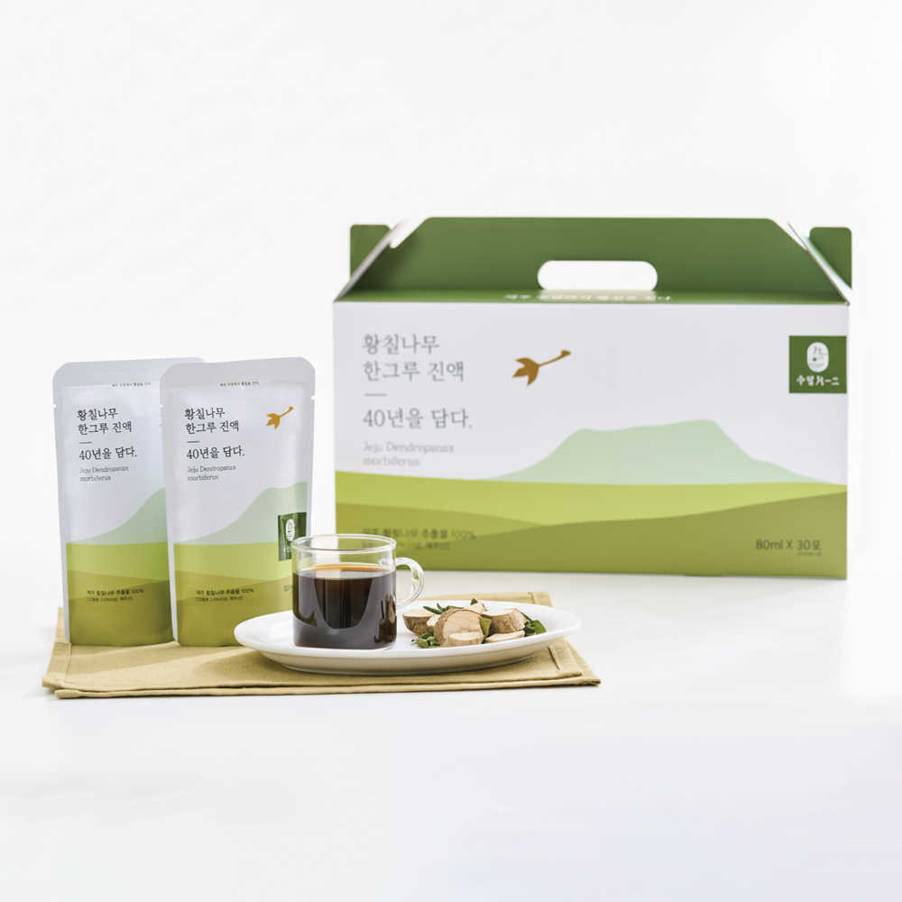 40년 제주황칠나무 한그루 진액