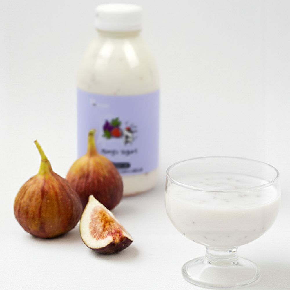[홍스랜드]무화과 요거트 500ml