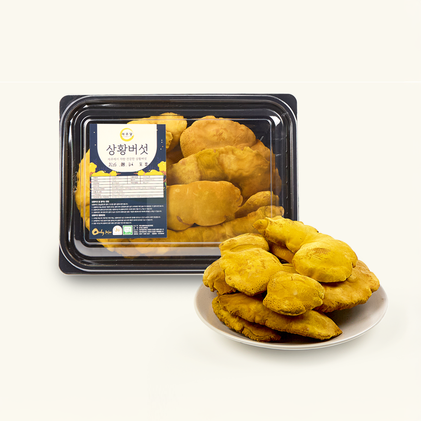 제주산 유기농 상황버섯 알뜰 제주상황버섯 실속형 100g 200g