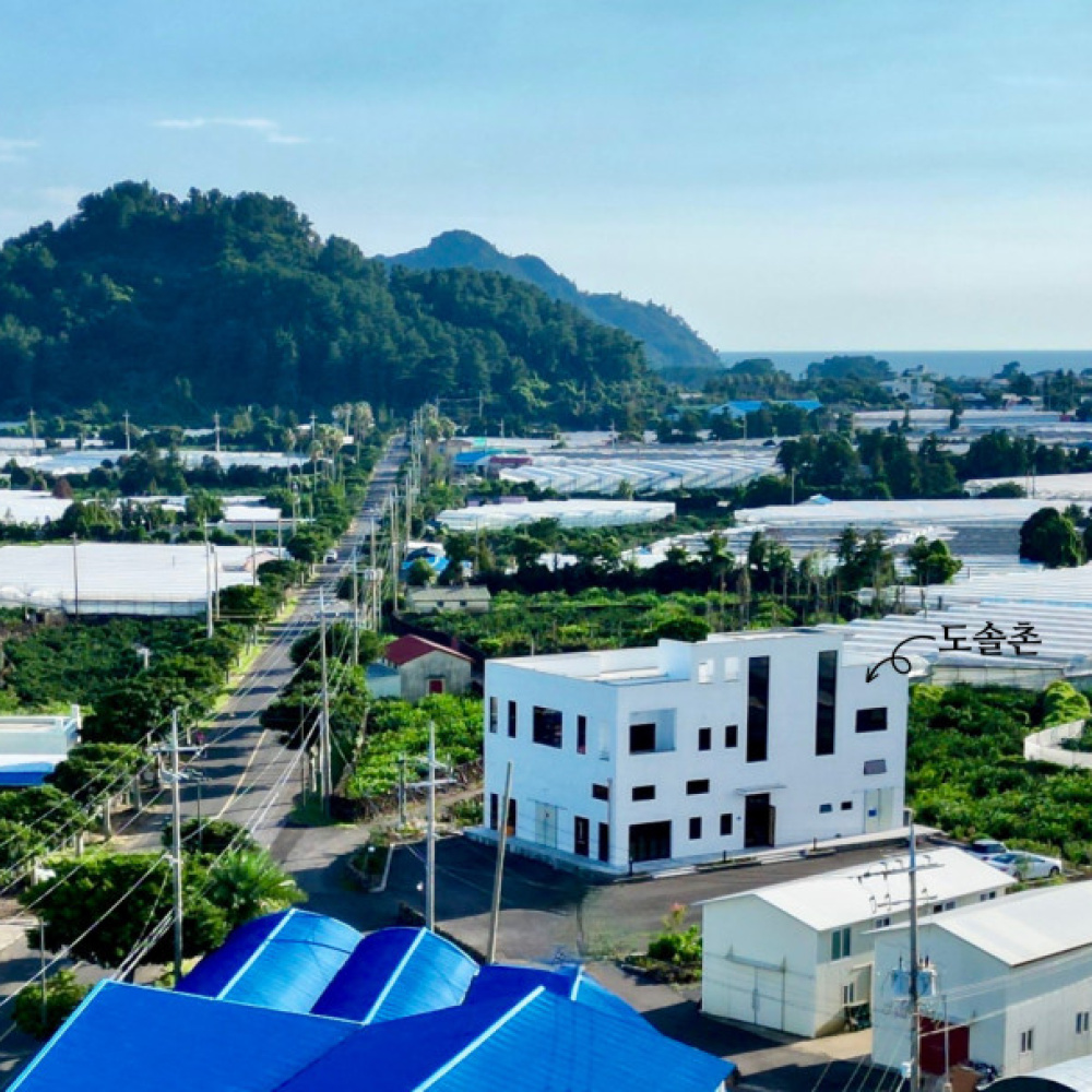 도솔촌 제주감귤과즐 5봉*1BOX