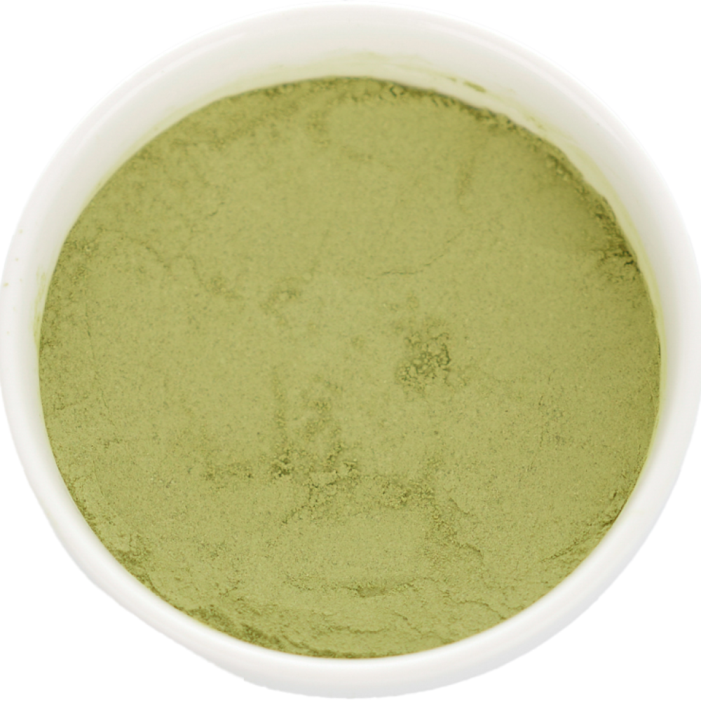 제주 새싹보리 보리새싹 물에 타먹는 분말 400g