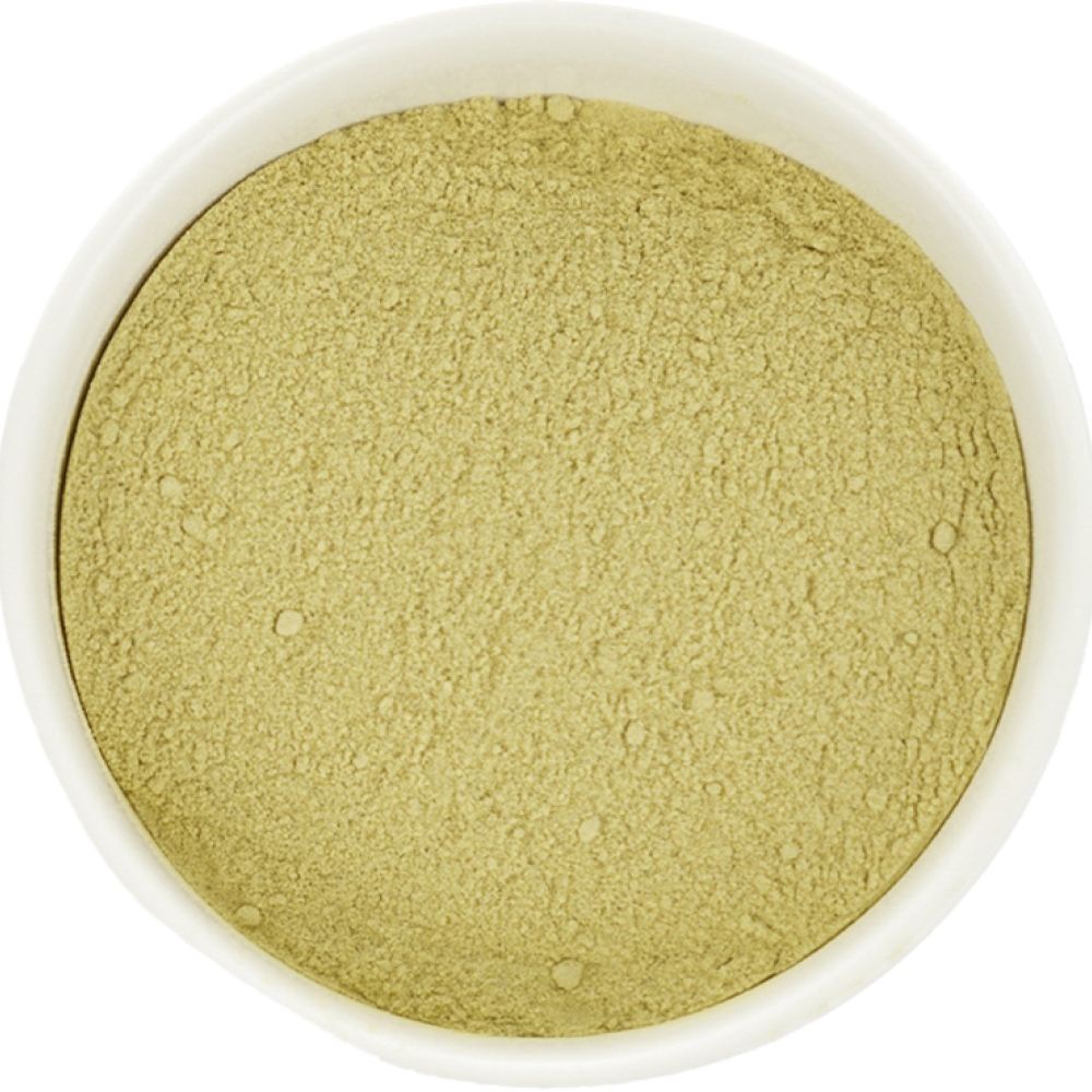 제주 케일 분말 500g