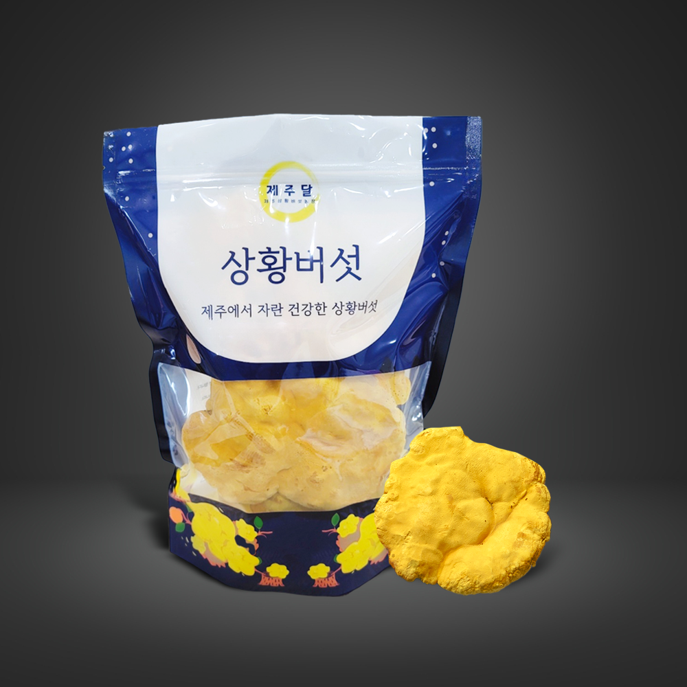제주산 유기농 상황버섯 원물A 원형 제주상황버섯 단품 200g