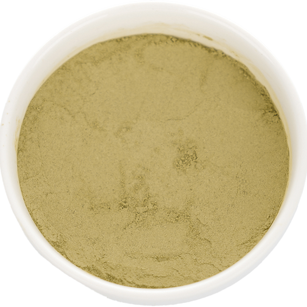 제주 알로에 베라 분말 부모님 선물 무농약 500g