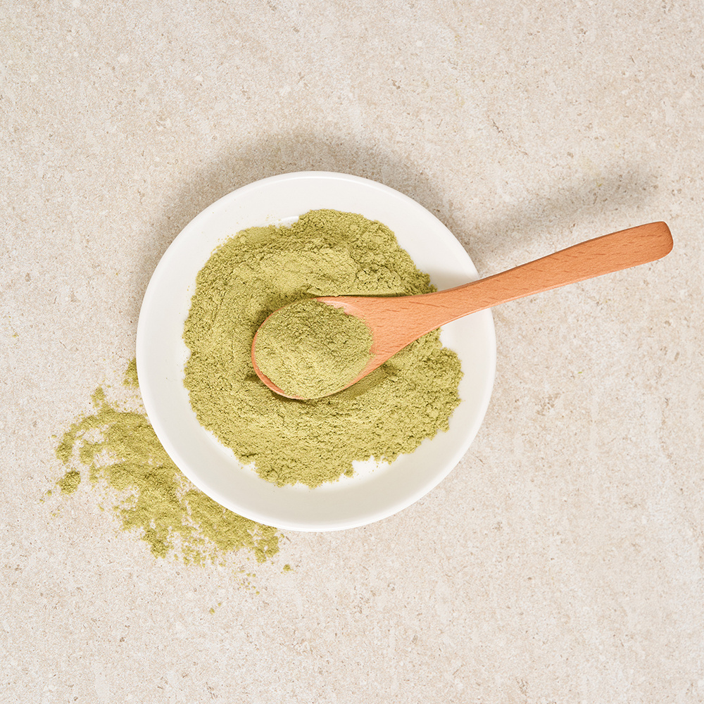 제주 알로에 베라 분말 부모님 선물 무농약 500g