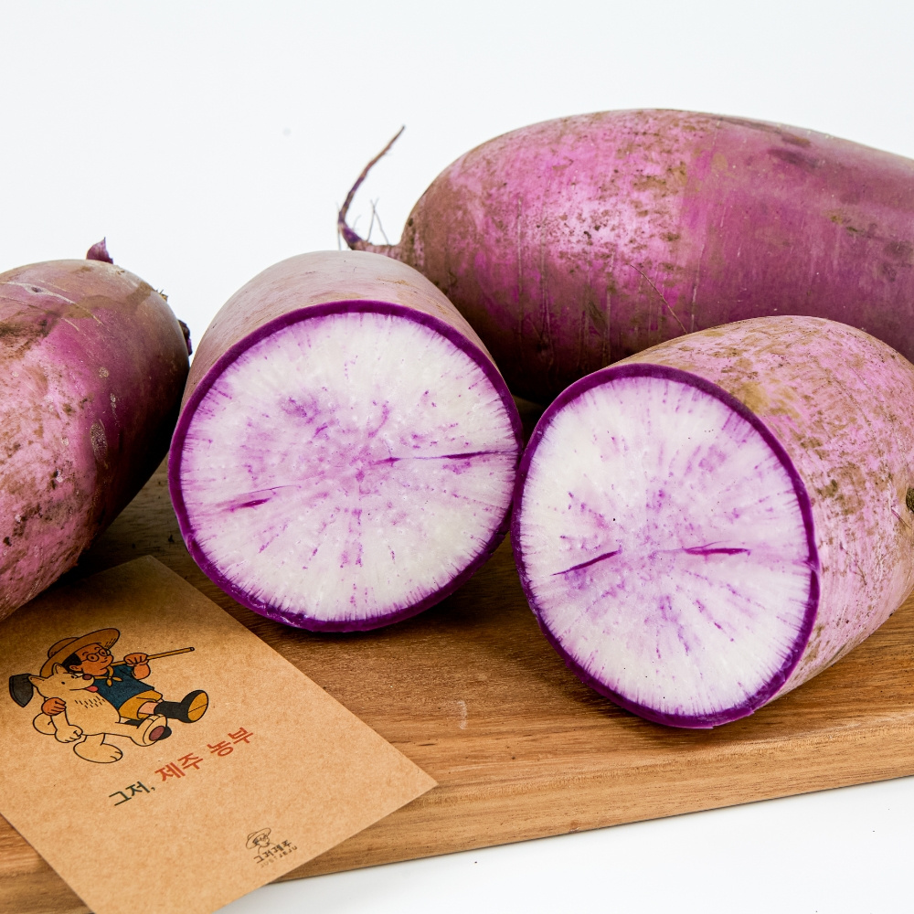 제주 자색무  5kg  외