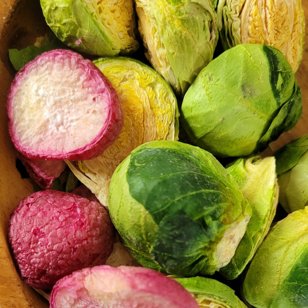 농부가 만드는 동결건조 수제 강아지간식  20g[방울양배추 레시디] 1+1