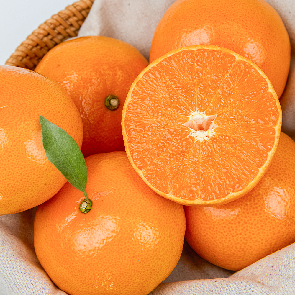 나^제주 나꾸러미 [1~2인용]