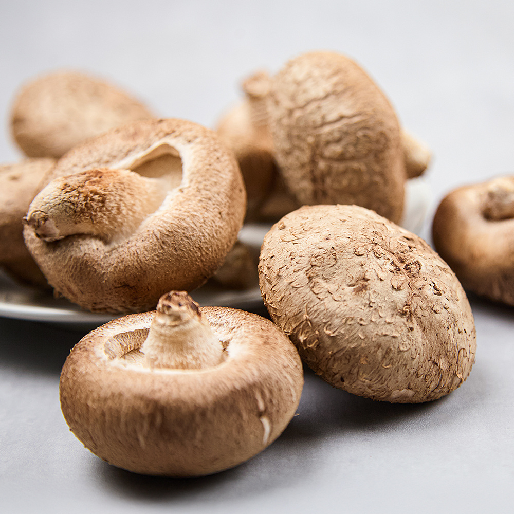 나^제주 나꾸러미 [1~2인용]