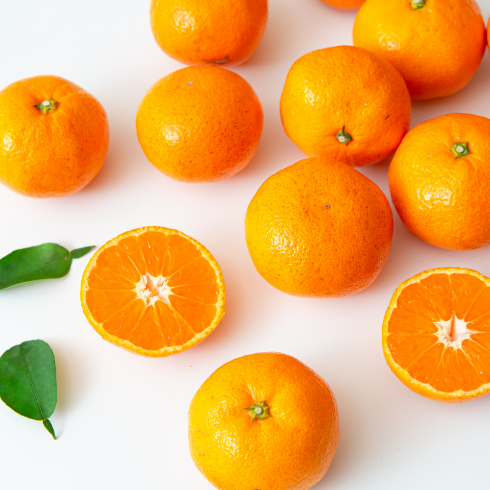 나^제주 나꾸러미 [1~2인용]