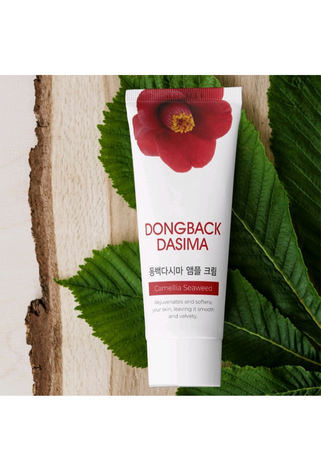 동백 다시마 앰플 크림 100g 보습크림 수분크림 미백 주름개선