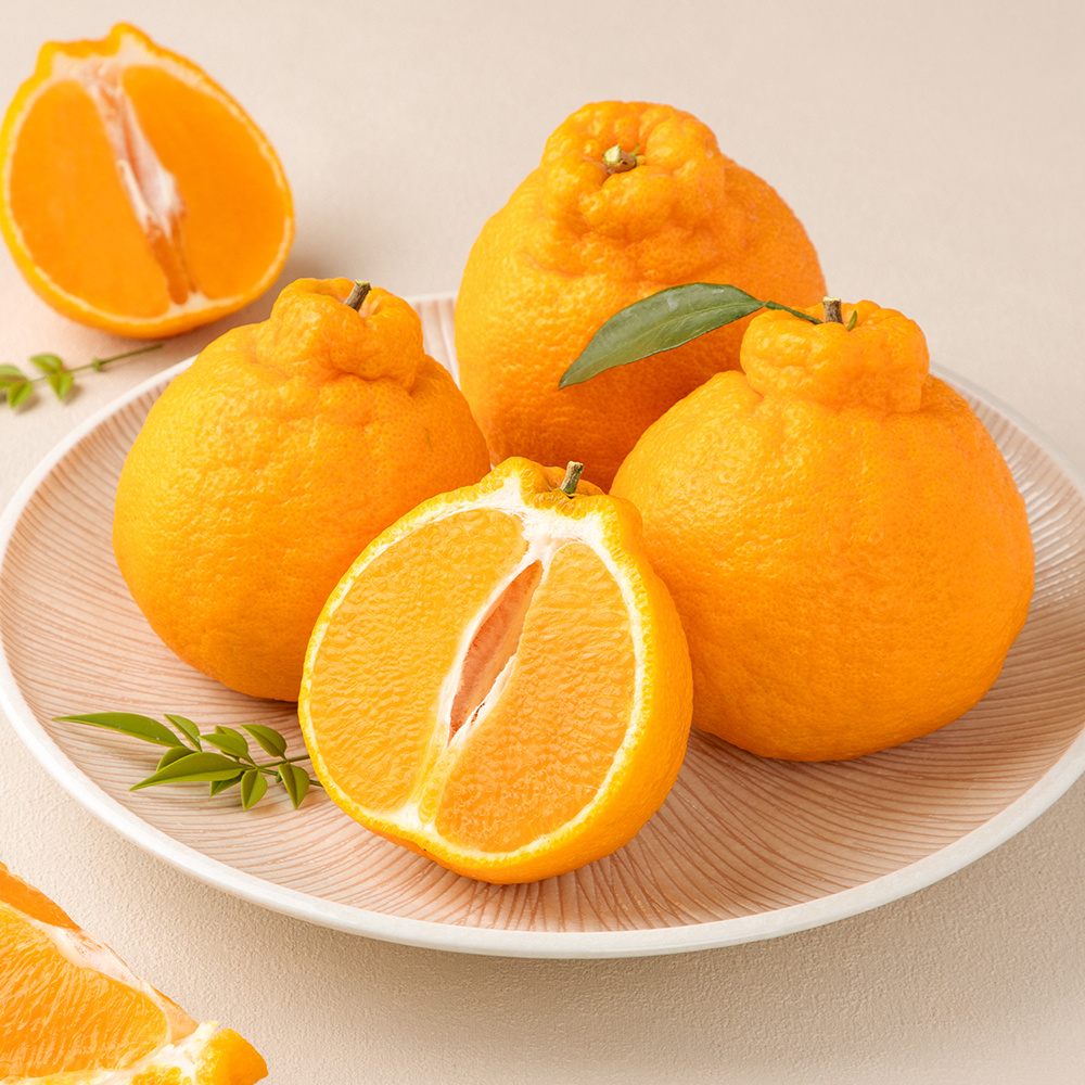 (산지 직송 특가) 고당도 제주 핫딜 한라봉 3kg,5kg,10kg