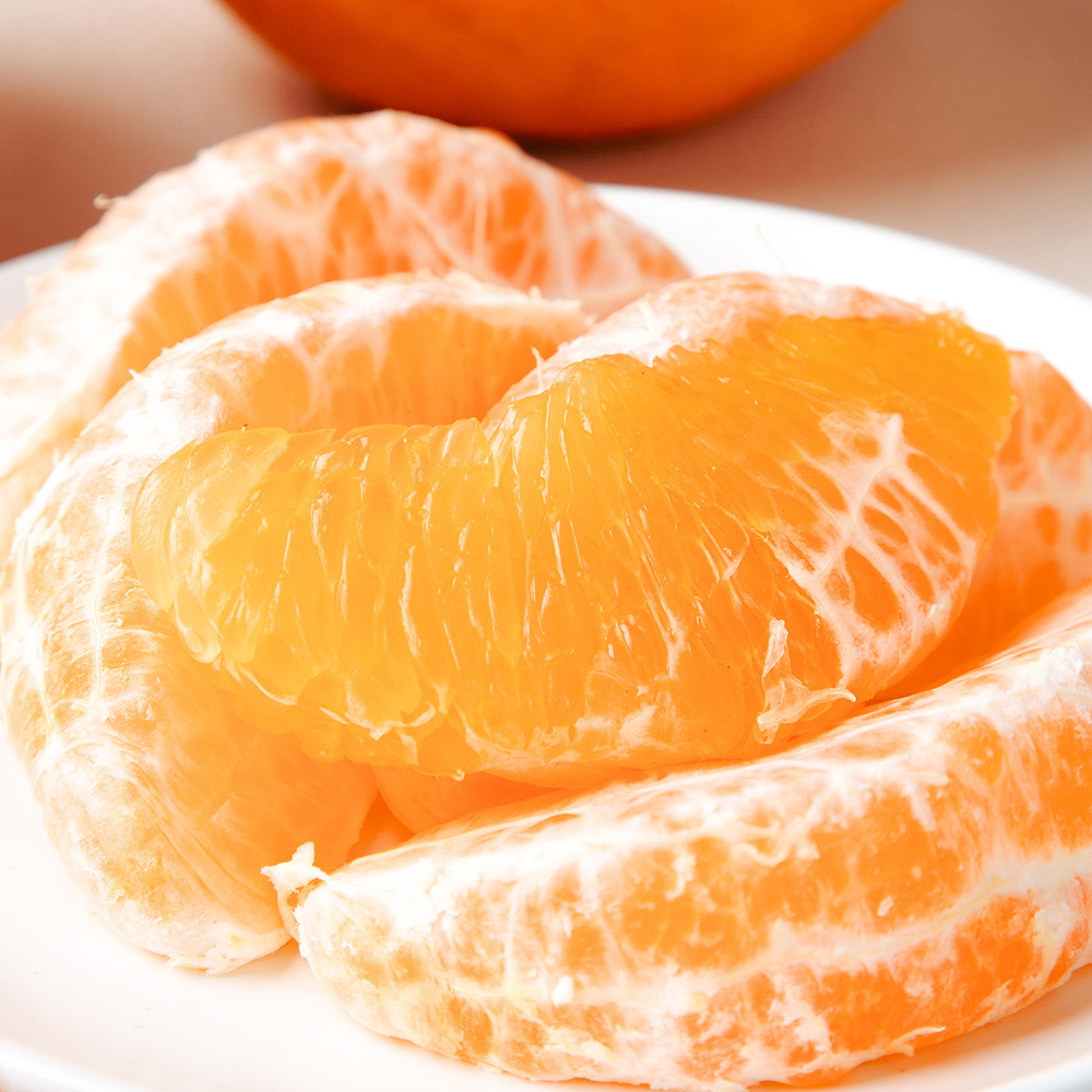 (산지 직송 특가) 고당도 제주 핫딜 한라봉 3kg,5kg,10kg