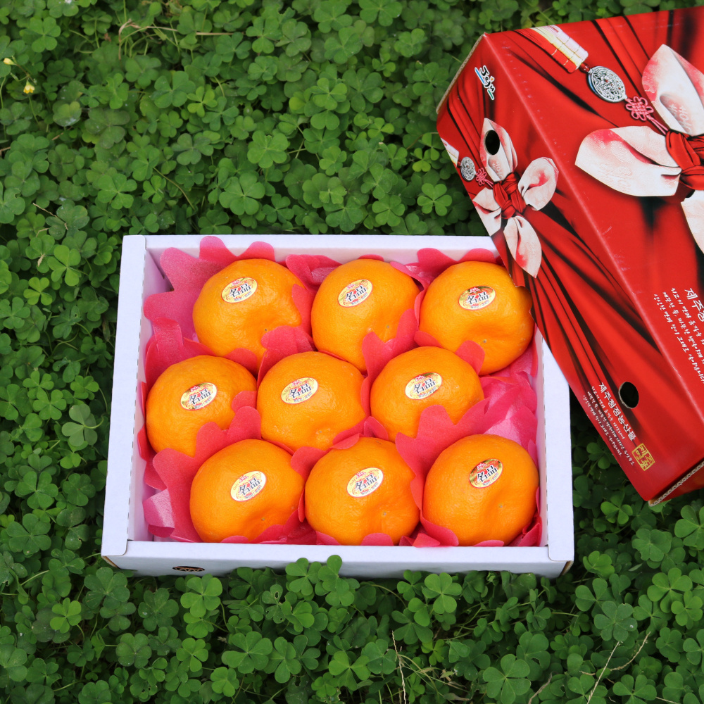 제주명품귤 신품종 고당도 환타맛 윈터프린스  2kg