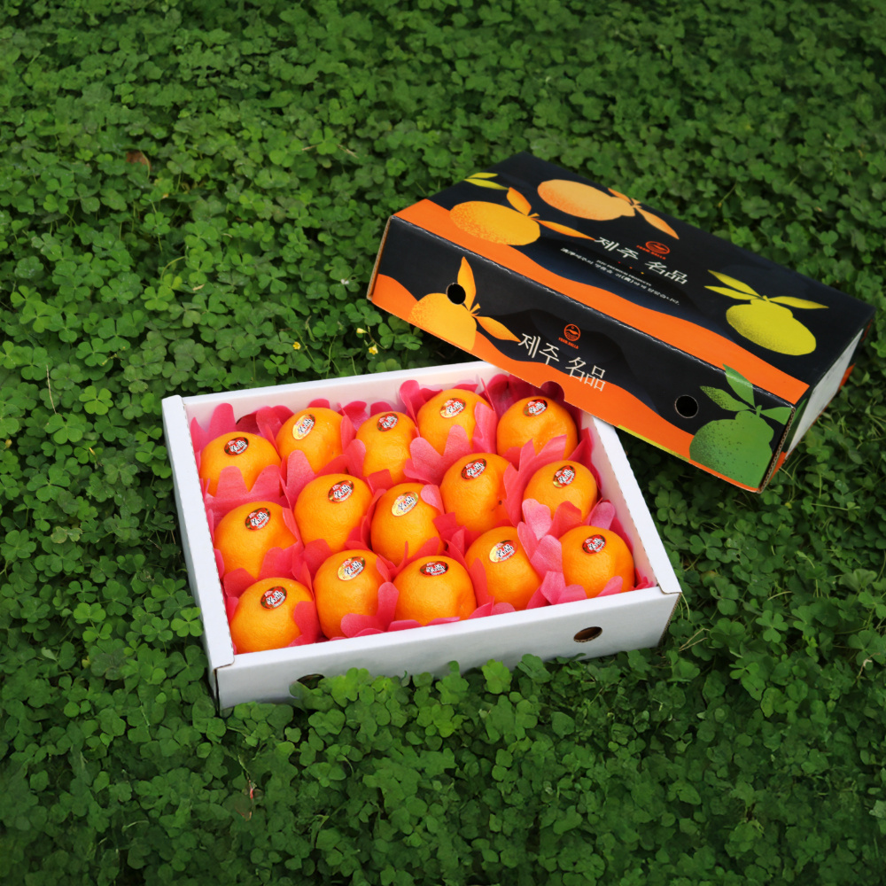 제주명품귤 신품종 고당도 환타맛 윈터프린스  3kg