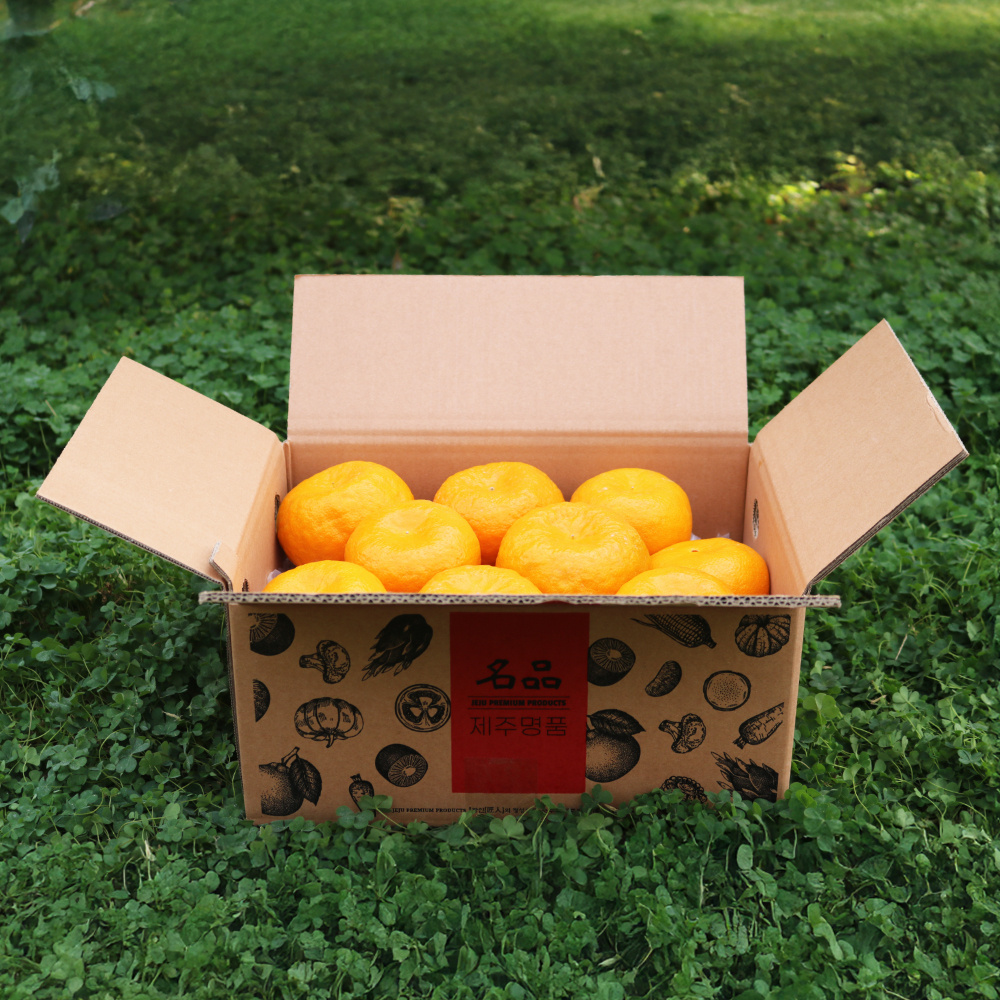 제주명품귤 신품종 고당도 환타맛 윈터프린스 4.5 kg