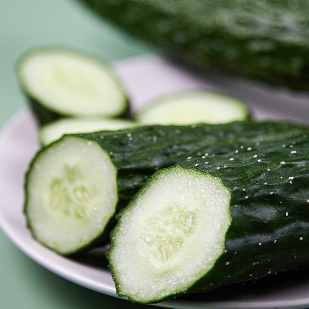 나^제주 샐러드꾸러미