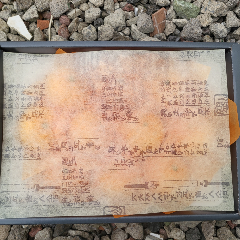 [봄율마켓] 설날선물세트 천혜향 선물용 전국무료배송 2KG 3KG