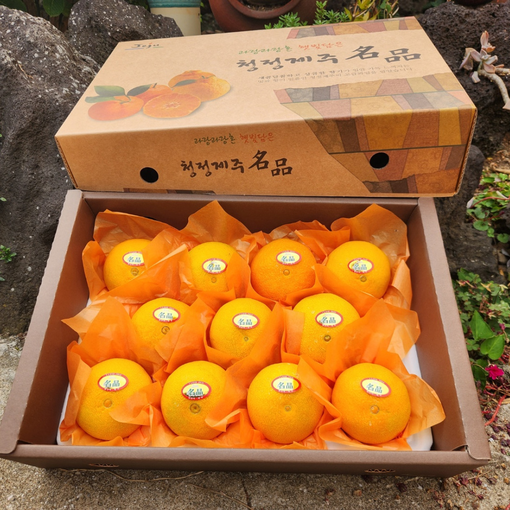 [봄율마켓] 설날선물세트 레드향 선물용 전국무료배송 5KG