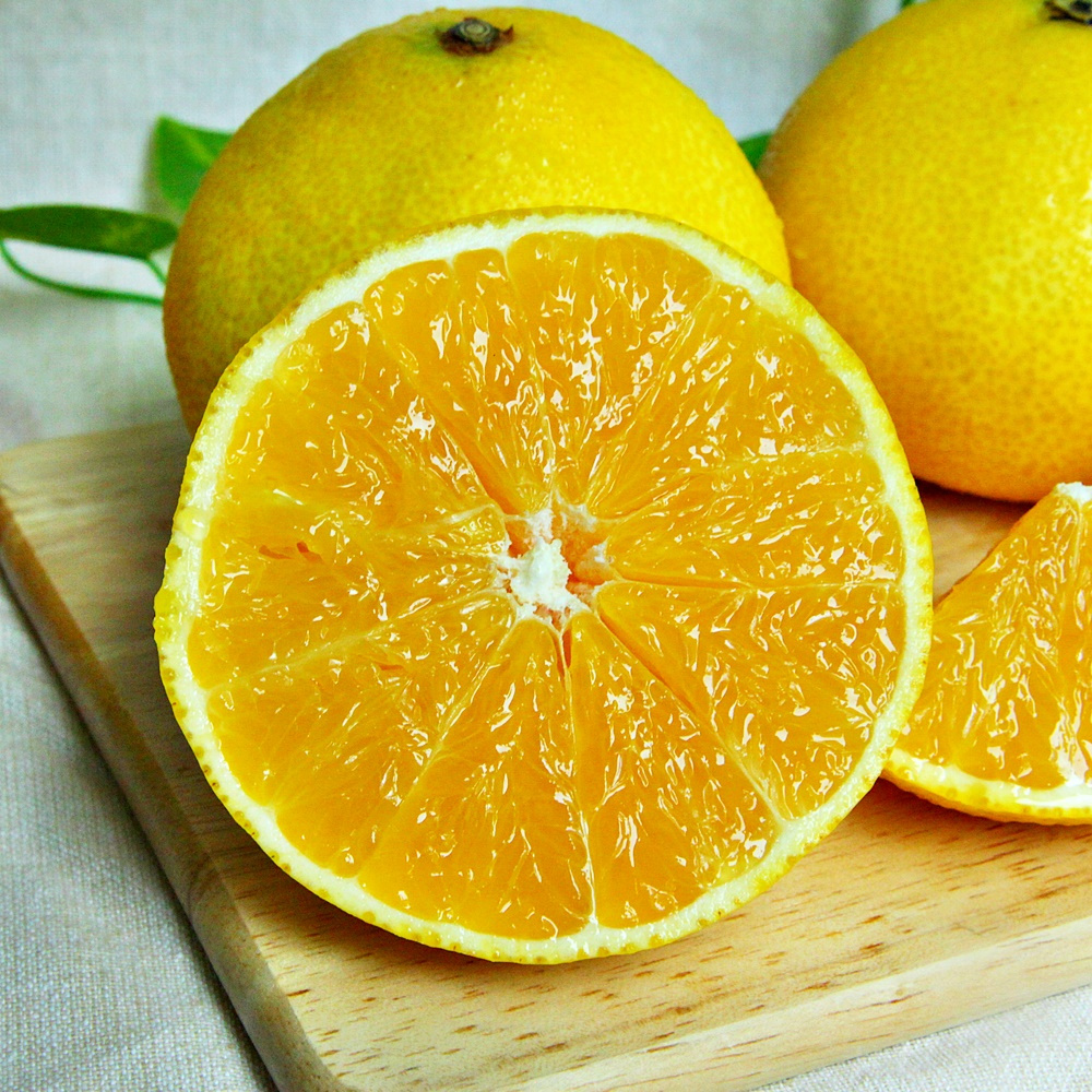 [봄율마켓] 설날선물세트 황금향 선물용 전국무료배송 2KG 3KG