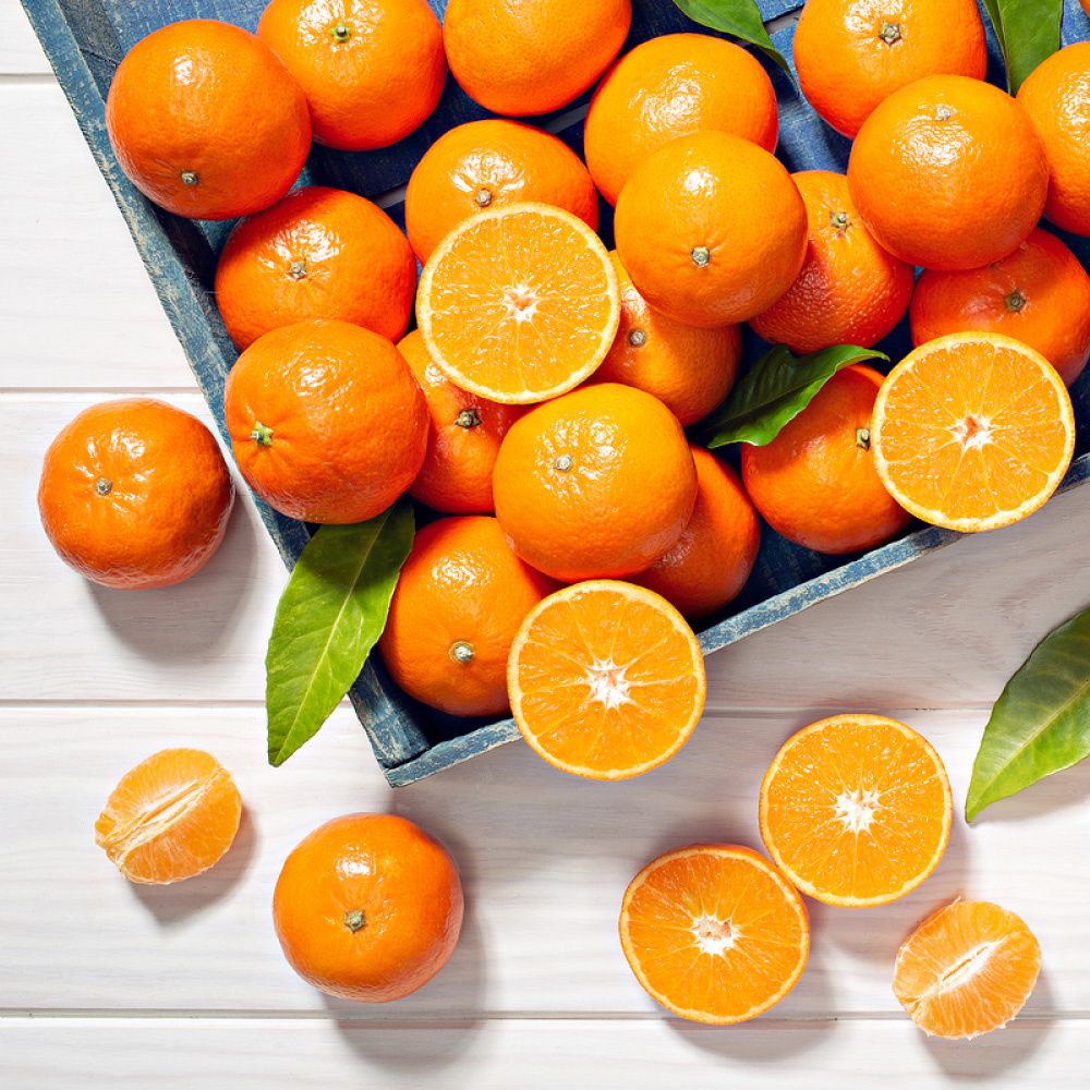 타이백 감귤 로얄과 2kg 외