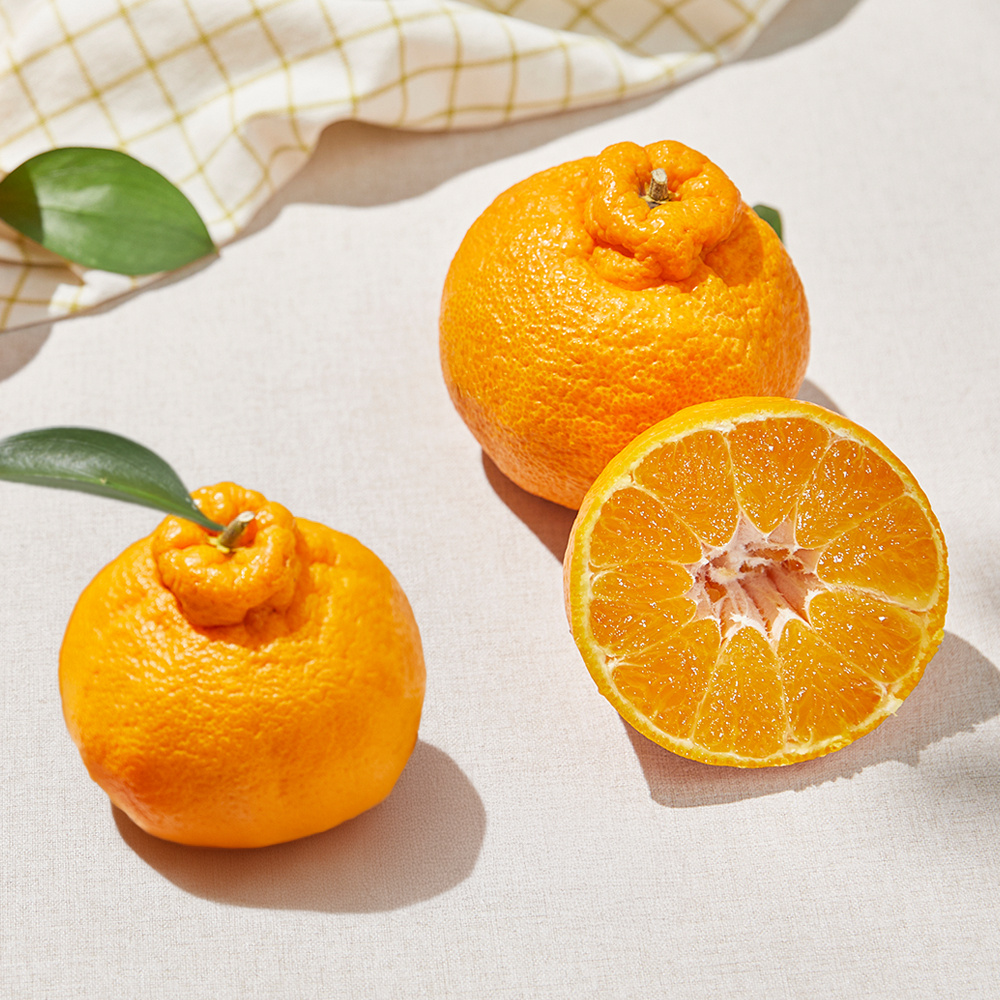 산지직송 한라봉 가정용 3kg 외