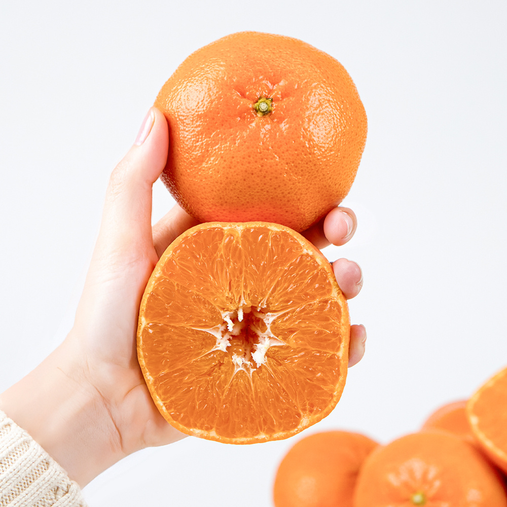 달콤한 레드향 가정용 3kg