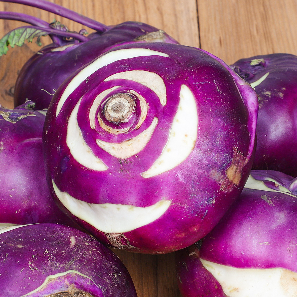 제주 정품 콜라비  5kg