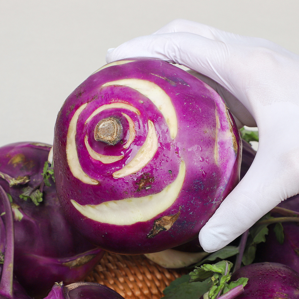 제주 정품 콜라비  5kg